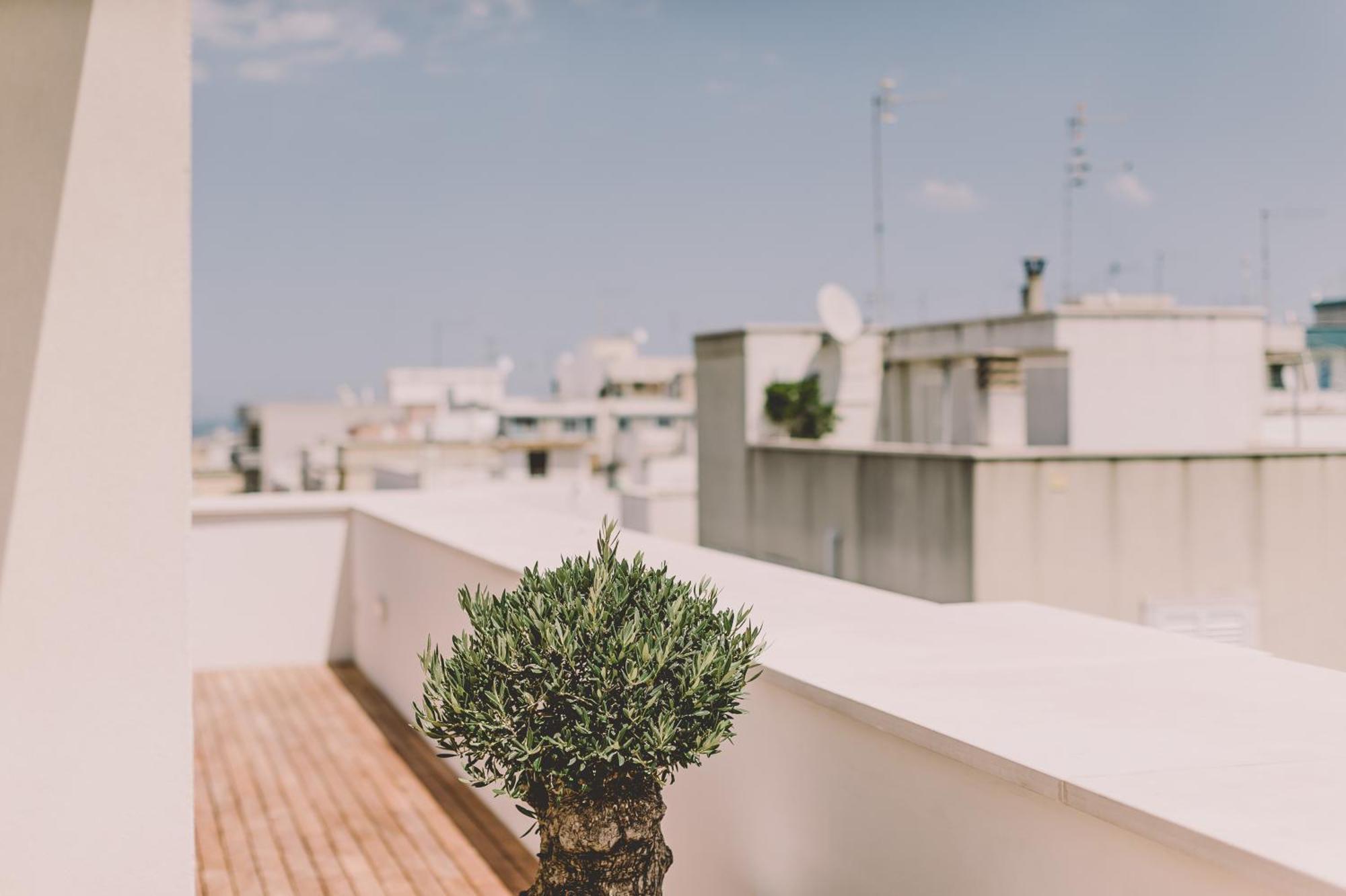 Cinquevite Bed & Breakfast Polignano a Mare Dış mekan fotoğraf